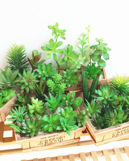 Zen Artificial Plant Collection
